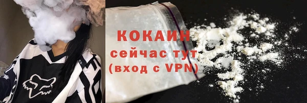 индика Наволоки