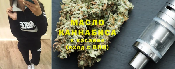 индика Наволоки